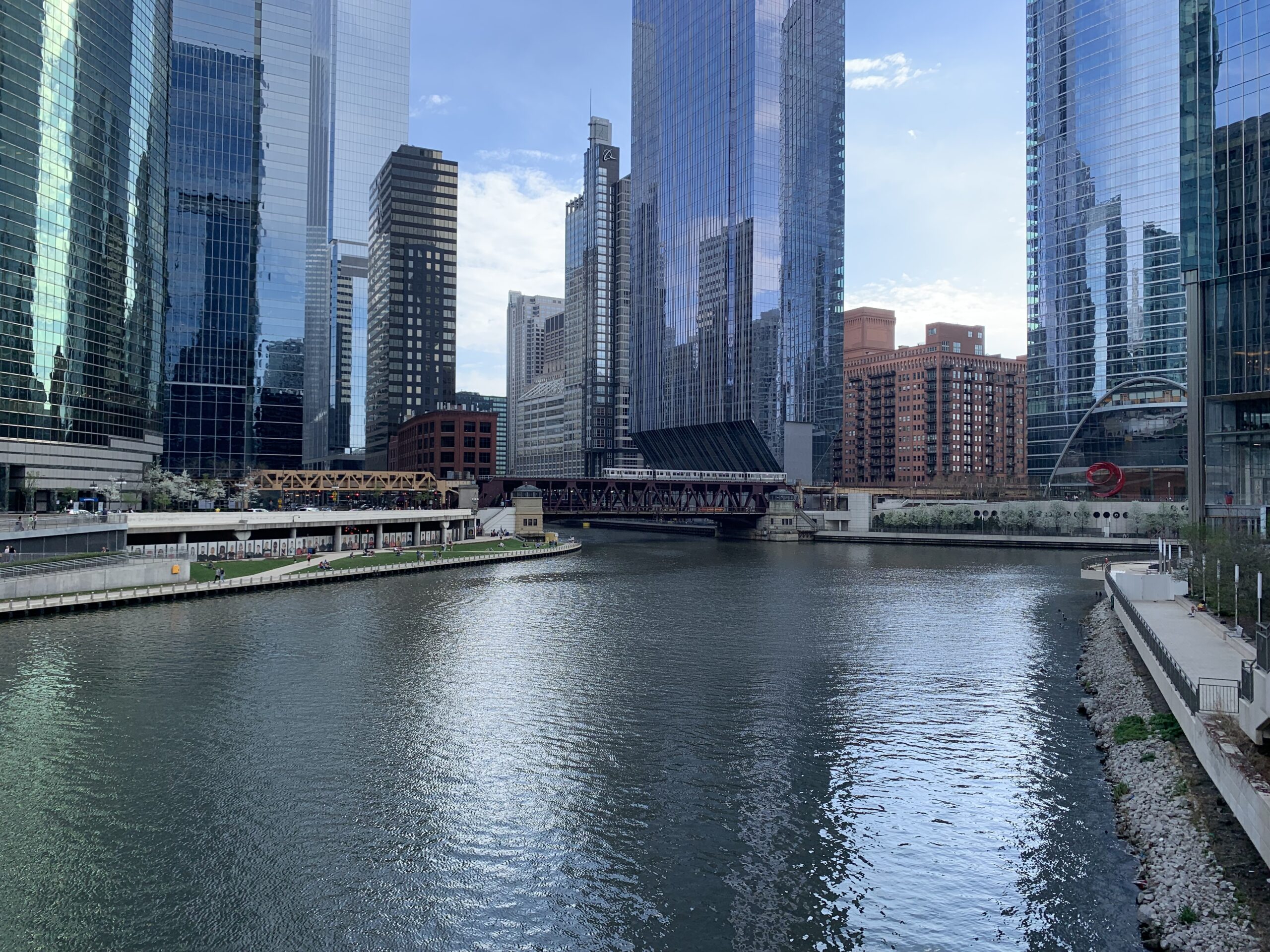 chicago river and skyline