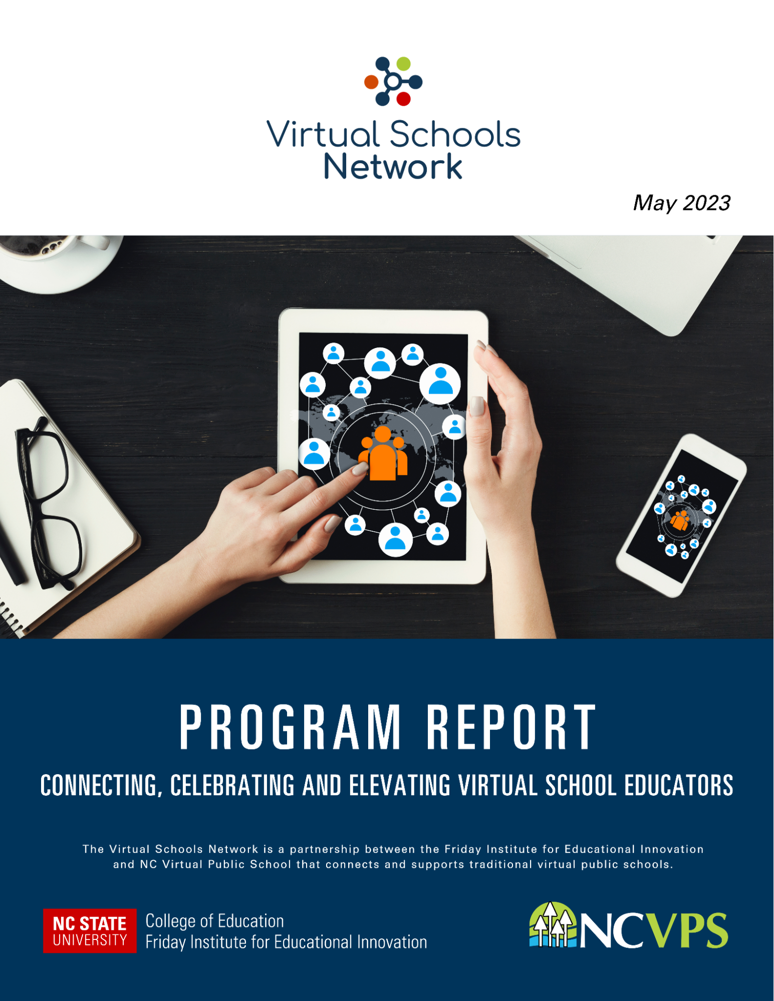 VSN Program Report features an image of a person holding a computer tablet touching the screen that has various bubbles and icons