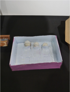 A purple box holding three white circular objects, similar to stones, in them.