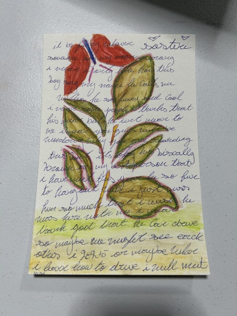 A drawing of a butterfuly and plant over a journal entry