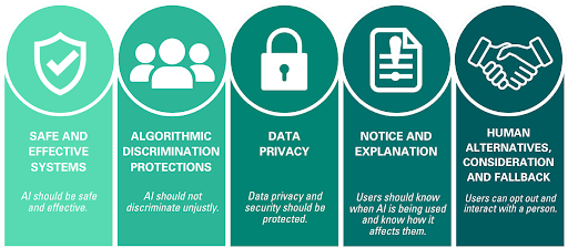 Five principles of the AI Bill of Rights: Safe and Effective Systems; Algorithmic Discrimination Protections; Data Privacy; Notice and Explanation and Human Alternatives, Consideration and Fallback