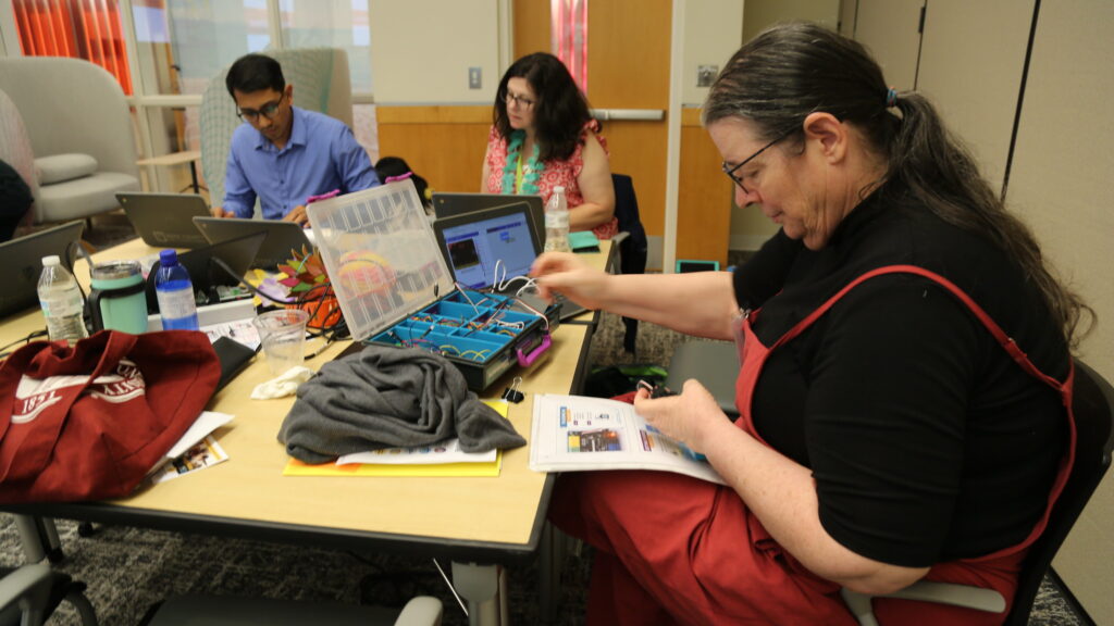 A woman works with circuits and a computer