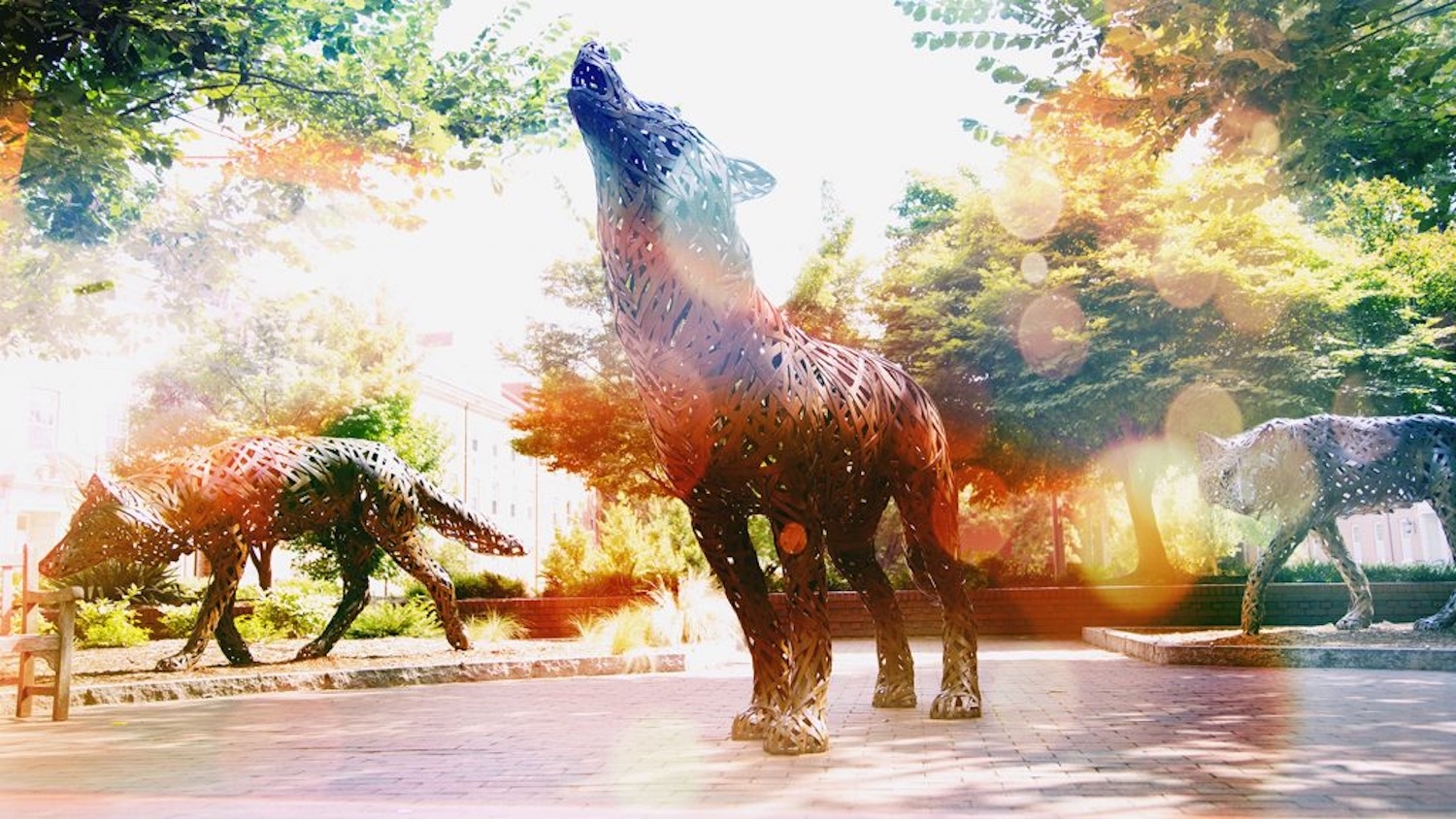 Wolf Plaza copper wolf statues