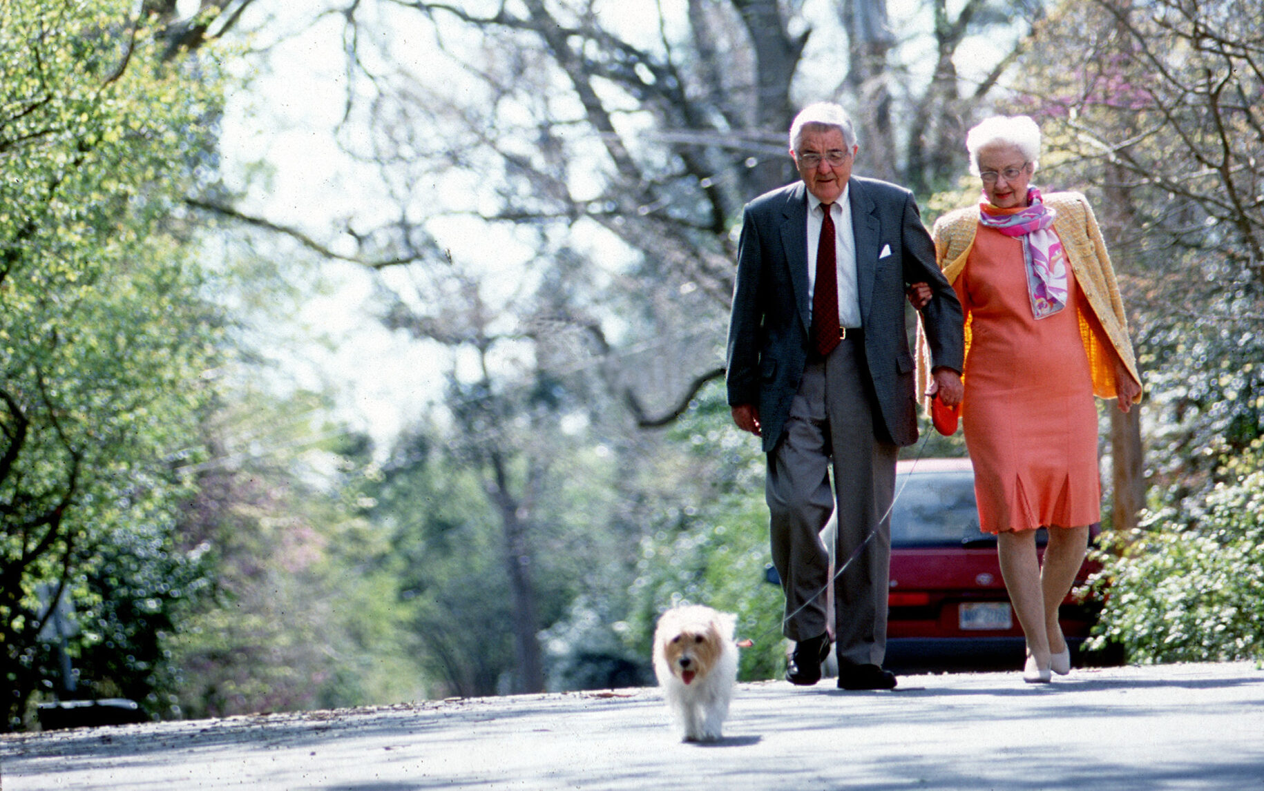 A woman and man in dress clothes (man in a suit, woman in a blazer and dress) walk their dog down a tree lined street